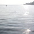 Morgensonne
