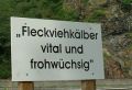 Frohwüchsig ?!?
