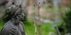 Madame wartet auf den Frühling ...
